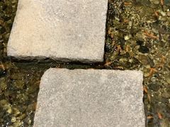 -邈墨茶馆(凤起路店)