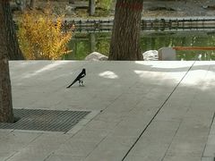 -满都海公园