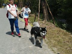 -上海海湾国家森林公园