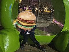 -祥源·阜阳生态乐园