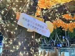 -金茂览秀城