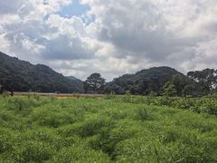 -广州市石门国家森林公园