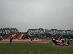 -迪茵湖田家舍生态农场