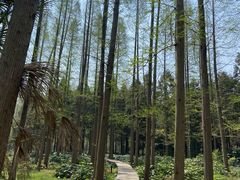 -上海怡沁园度假酒店