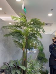 -八佰伴8008星级形象店