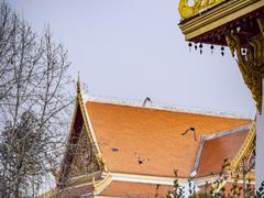 -洛阳白马寺