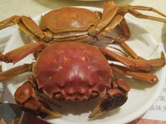 大闸蟹-芭菲盛宴·环球美食(袁家岗店)