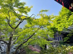 -胡雪岩故居