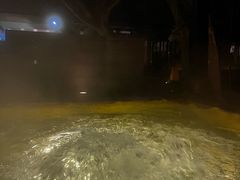 -春晖园度假酒店温泉