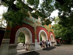 -北京植物园-展览温室