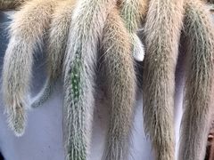 -山菌美食苑(振兴路店)