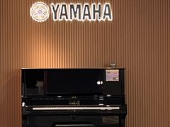 -雅马哈乐器专卖店(广州旗舰店)