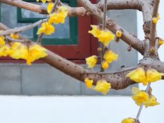-陶然亭公园