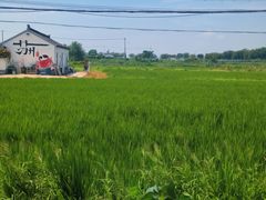 -丫丫蟹庄·苏式园林农家乐·阳澄湖大闸蟹(阳澄湖莲花岛店)