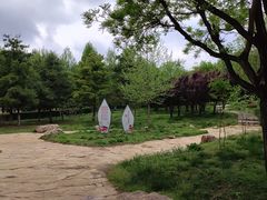 -府君山公园