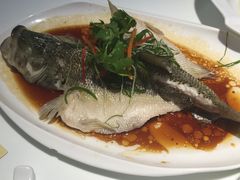 -至潮餐厅精致粤菜·活鲈鱼·走地鸡(珠江新城店)