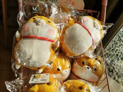 -柴犬高等学院·狗咖·柴犬售卖·宠物训练