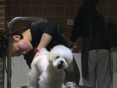 -Oh My Dog宠物沙龙(伊珊娜皮毛护理店)