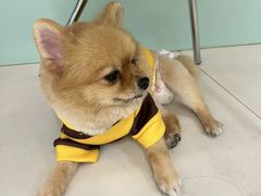 -怪兽屋·羊驼·猫咖·狗咖(俊华广场店)