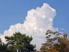 -西安乐游原