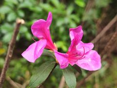 -广州市白云山风景名胜区