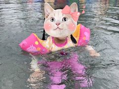 -柳浪游泳场