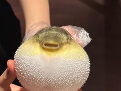 -肆月河豚·淮扬菜·湘菜(华天店)