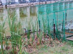 -厦门国家会计学院