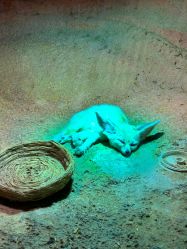 -酷嗒动物文化乐园(cutezoo西溪乐天城店)