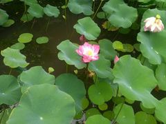 -镇江市南山风景名胜区竹林景区