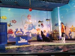 -太平洋海底世界