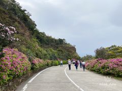-梧桐山风景名胜区