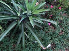 -南通洲际绿博园