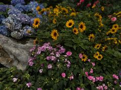 -人民公园(罗湖区)