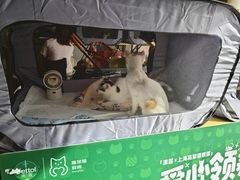 -瑞虹新天地月亮湾