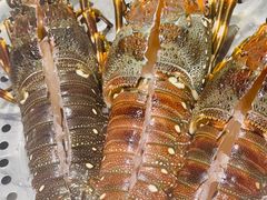 -董大蒸货(方塔园店)