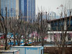 -后襄河公园