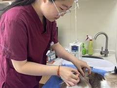 -美联众合动物医院·24h京西诊疗中心