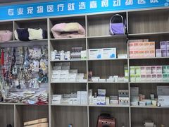 -嘉馨宠物医院·CT影像转诊·心脏科·犬猫全科诊疗中心(下沙大学城院区)