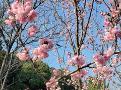 -武汉大学图书馆·文理学部总馆