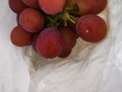 -马陆小张葡萄园农家乐