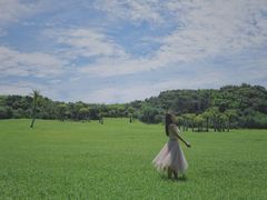 -鹅銮鼻公园