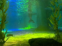 -常州海昌海洋探索馆