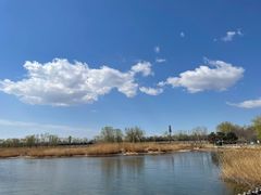 -大兴滨河森林公园