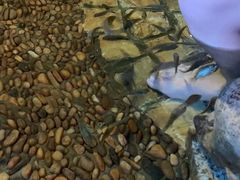 -泉城欧乐堡戏水湾艺术养生温泉