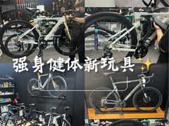 -ACEOFFIX折叠自行车(浦东专卖店)