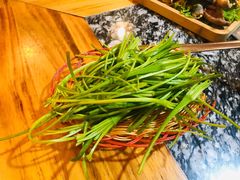 水性杨花-云上珍野生菌(兴仁店)