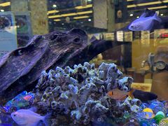 -新辉港式茶餐厅(北栅店)