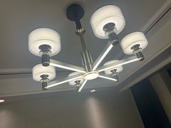 -巢湖名吃·东关老鹅汤(江南风情街店)