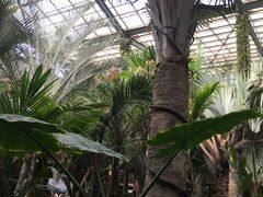 -呀路古热带植物园